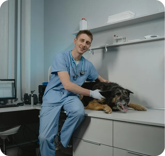 Veterinary & Medical